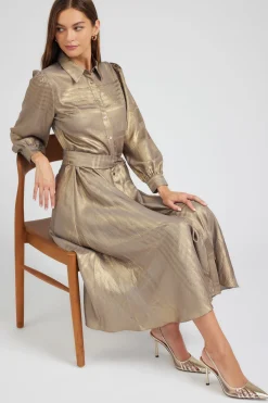 Current Air Metallic Buttondown Dress GOLD Best