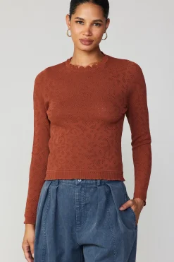 Current Air Scalloped Knit Top RUST Hot